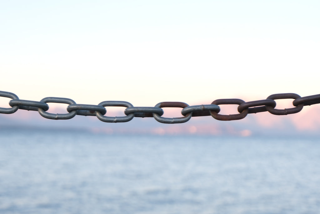 The Indomitable Spirit: The Importance of Resilience for Success